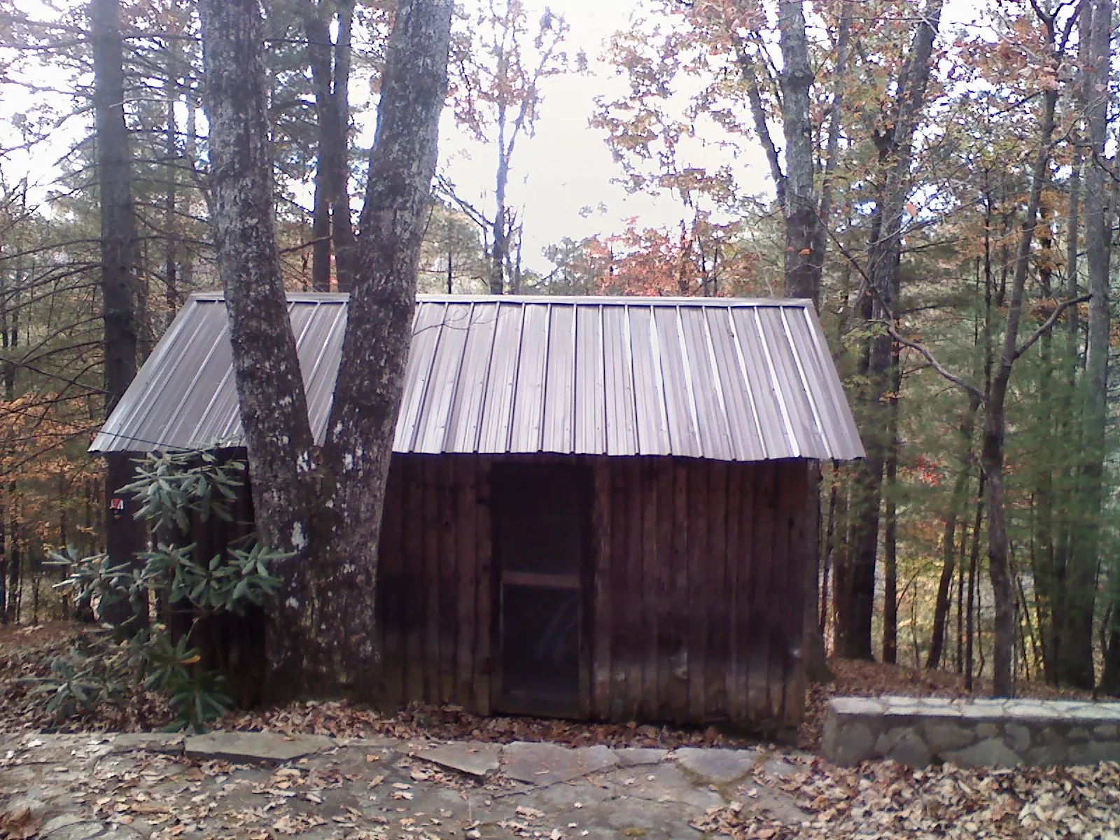 New metal gable roof on a small log shed among the trees in Belfair