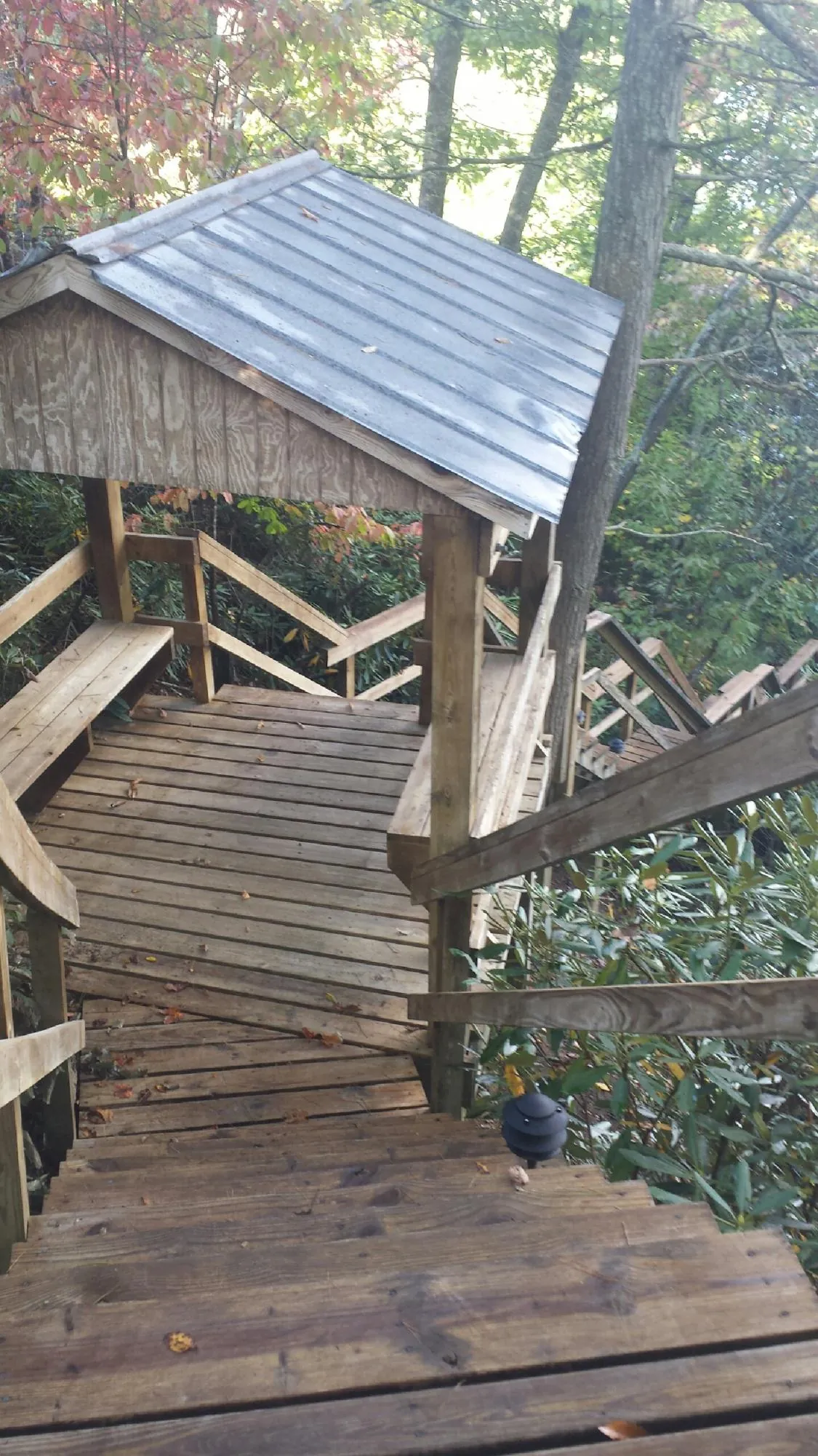 Metal roofed shelter over wooden steps on a wooded walkway — Skylight Repair & Installation work by our crew in Belfair