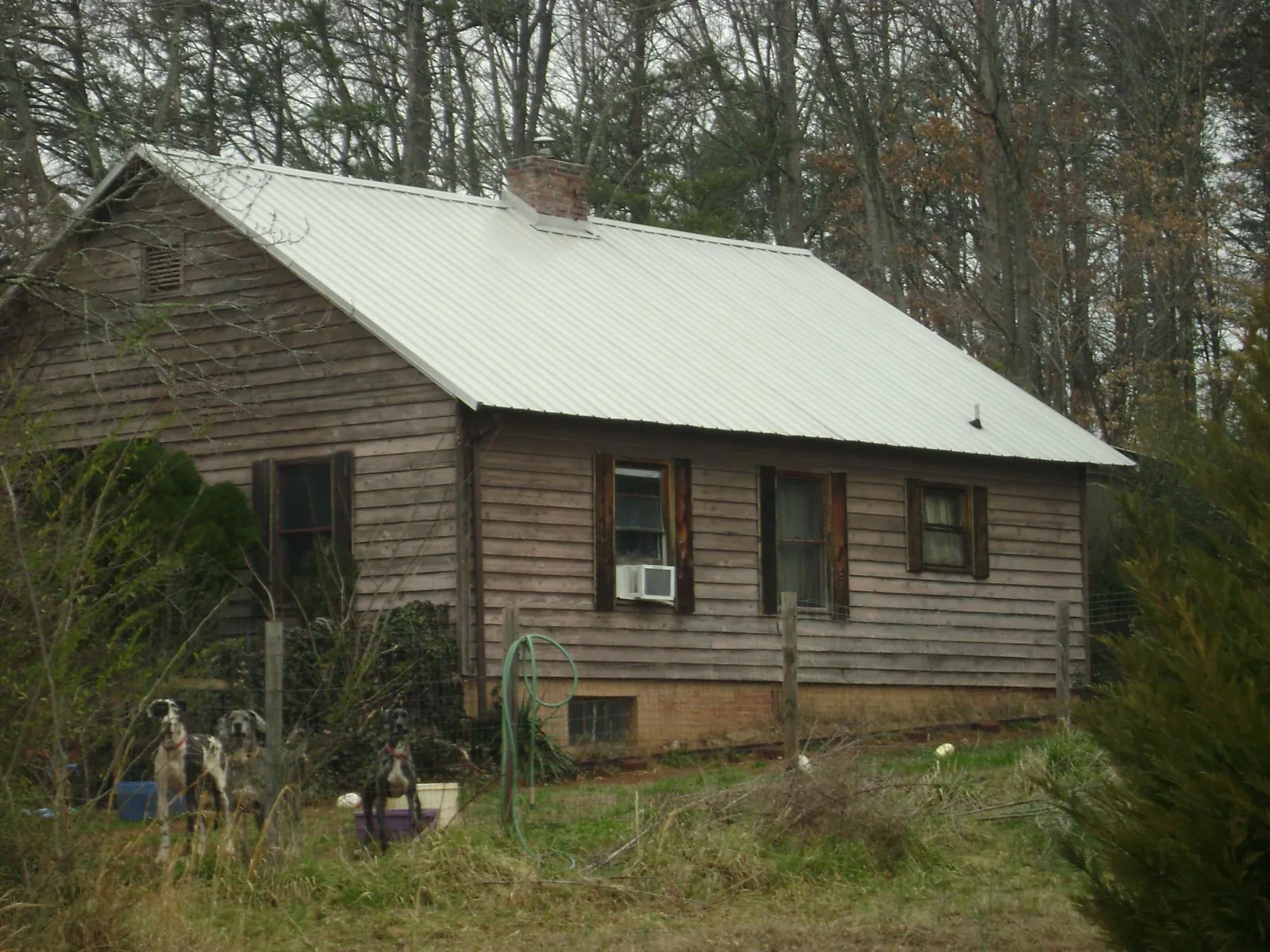 White metal roof on an old wood sided farmhouse, from a Metal Roof Installation job in Belfair
